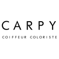 logo carpy bayeux - laitière